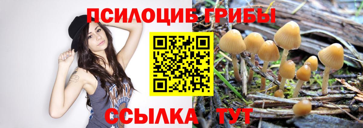 Псилоцибиновые грибы мухоморы  Вход с VPN  Псилоцибиновые грибы Psilocybe  Всеволожск 